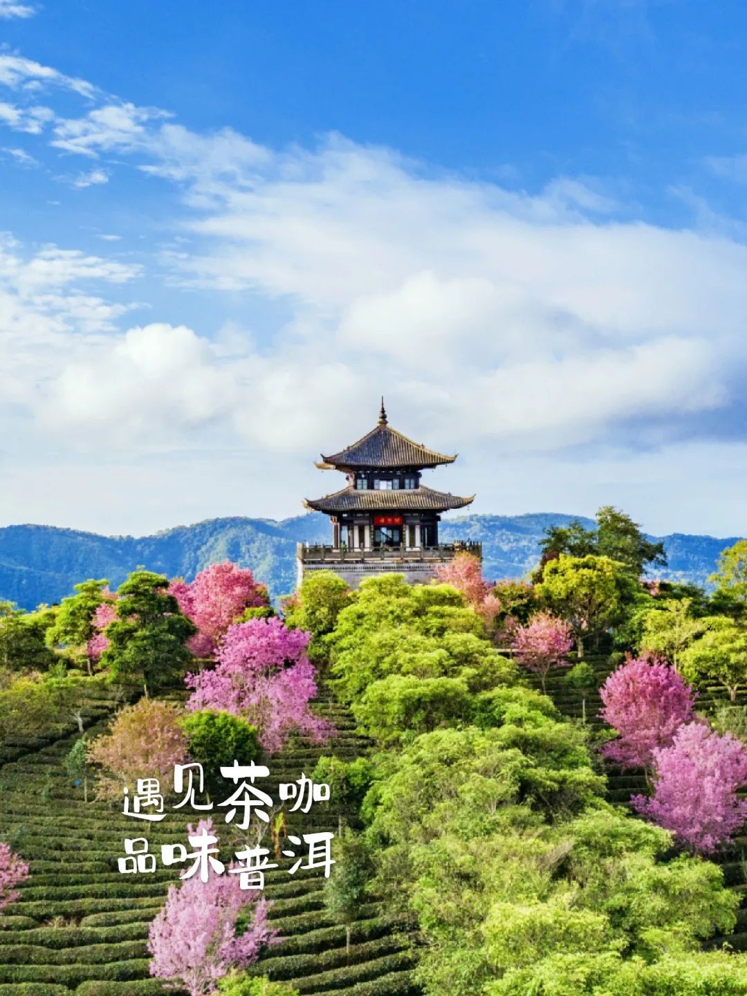 旅游_画板 1 副本 11.jpg 图片