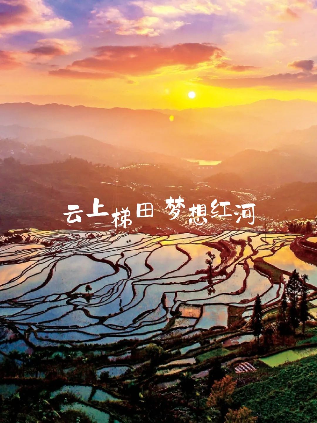 旅游_画板 1 副本 6.jpg 图片