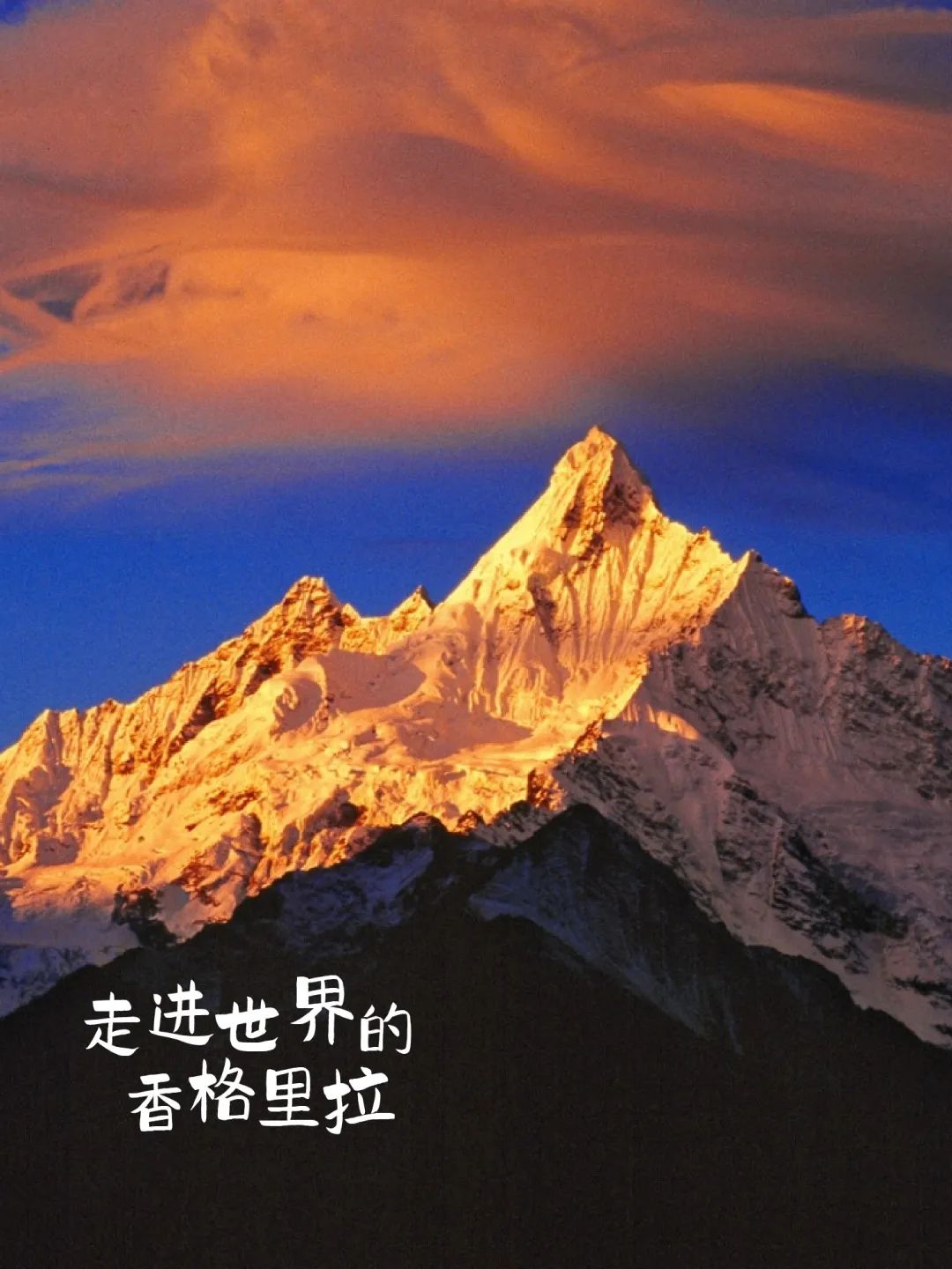 旅游_画板 1 副本 5.jpg 图片