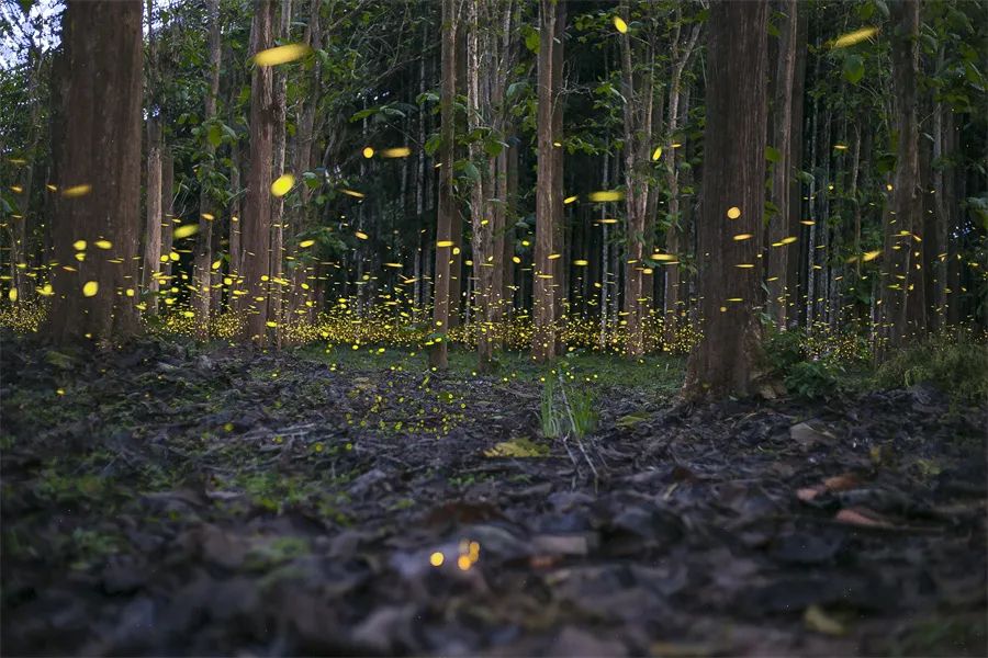 20220707072203376.jpg 图片