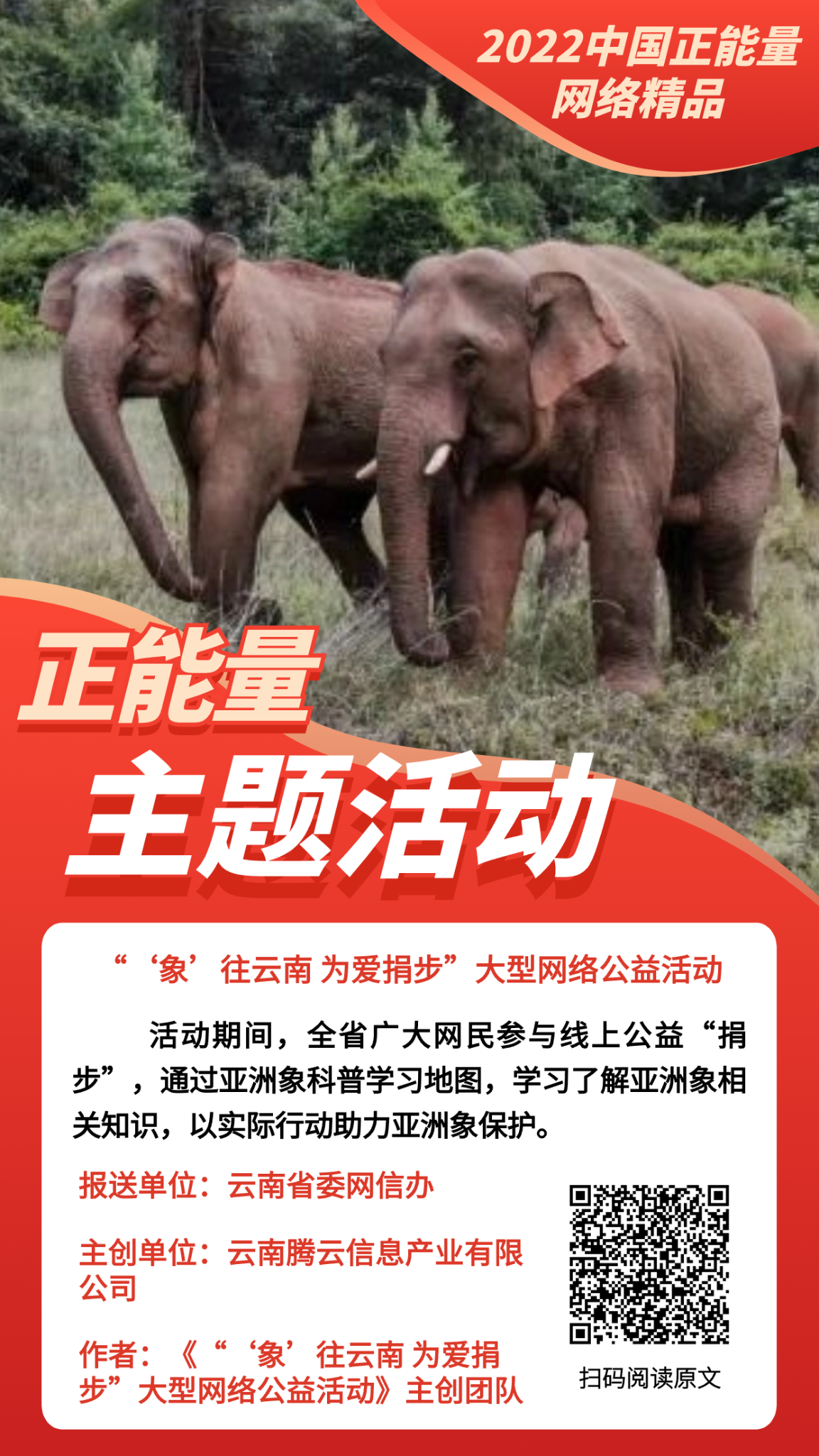 “‘象’往云南 为爱捐步”大型网络公益活动