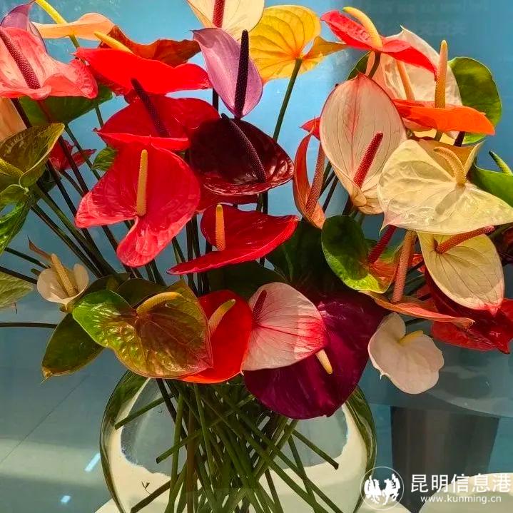 640_wx_fmt=jpeg&wxfrom=5&wx_lazy=1&wx_co=1 (2) 640_wx_fmt=jpeg&wxfrom=5&wx_lazy=1&wx_co=1 (2)