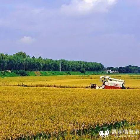 640_wx_fmt=jpeg&wxfrom=5&wx_lazy=1&wx_co=1 (11) 640_wx_fmt=jpeg&wxfrom=5&wx_lazy=1&wx_co=1 (11)