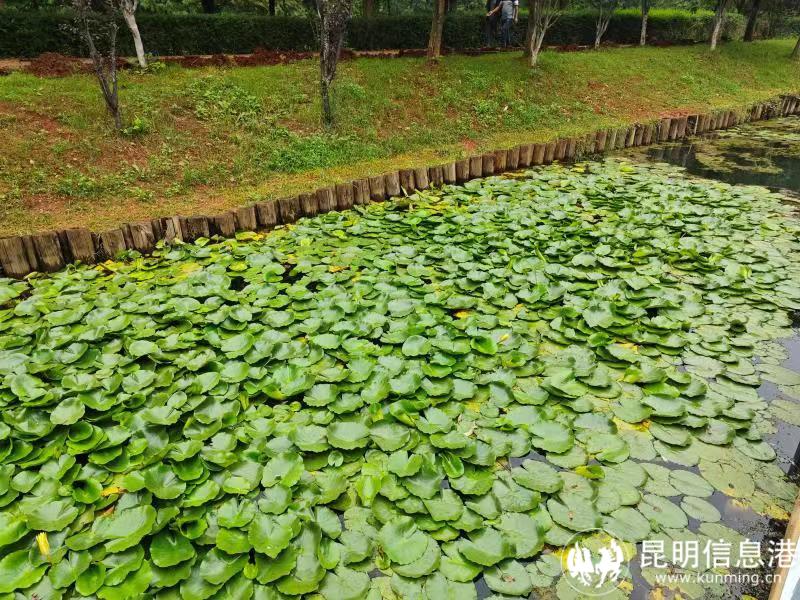 微信图片_20231117152254