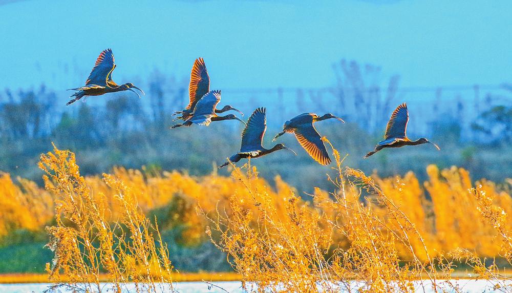 a90e860f-c0fb-4cb2-b7ad-4df597832ec9