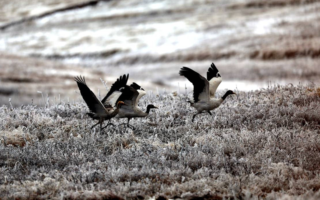 12b9141affec6ff6 12b9141affec6ff6