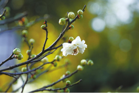 微信图片_20240129180141