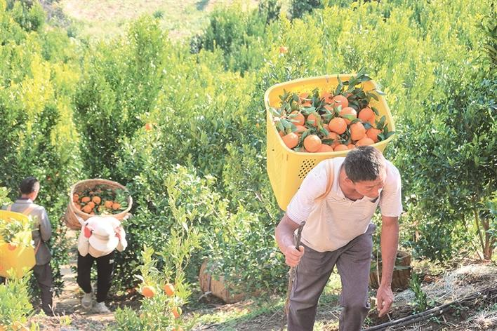 企业微信截图_17071781241533