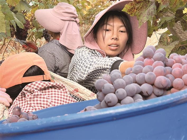 企业微信截图_17071781319258