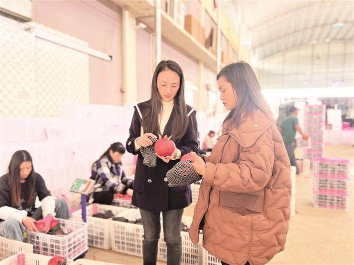 企业微信截图_17071781451195