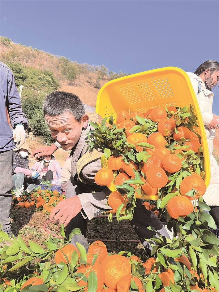 企业微信截图_17071781504962