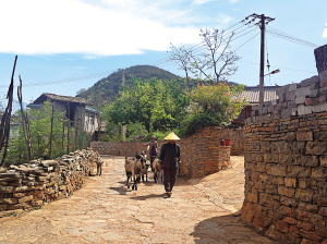 石林糯黑村 本版图片 ■ 都市时报全媒体记者 刘巧红 石林糯黑村 本版图片 ■ 都市时报全媒体记者 刘巧红