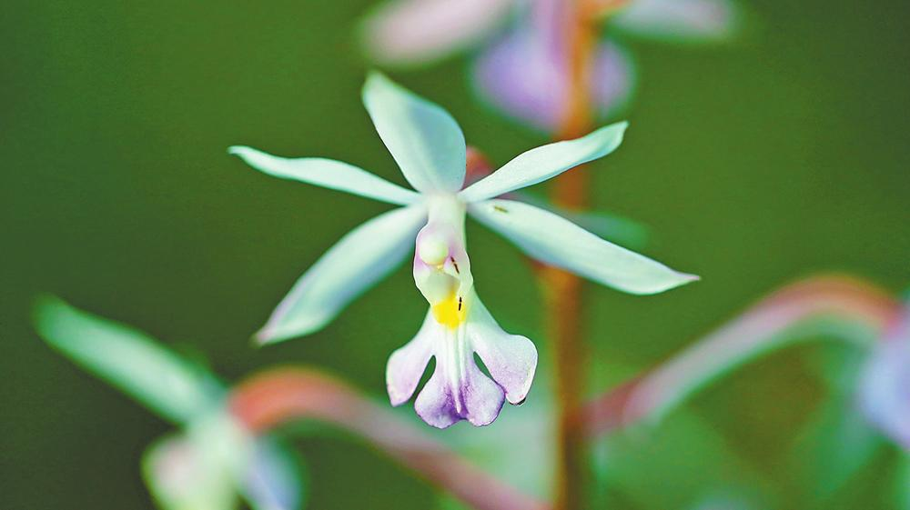 微信图片_20240414093445