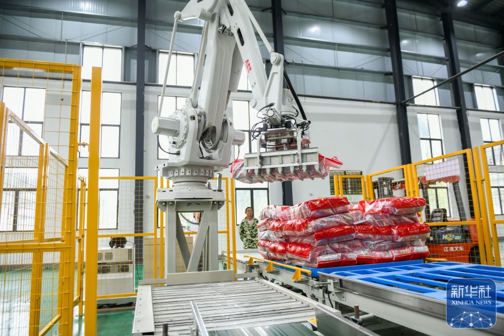 贵州岑巩:水稻制种确保稳产增收 贵州岑巩:水稻制种确保稳产增收