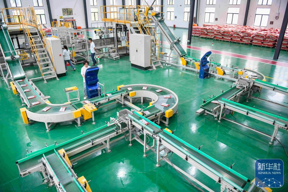 贵州岑巩:水稻制种确保稳产增收 贵州岑巩:水稻制种确保稳产增收