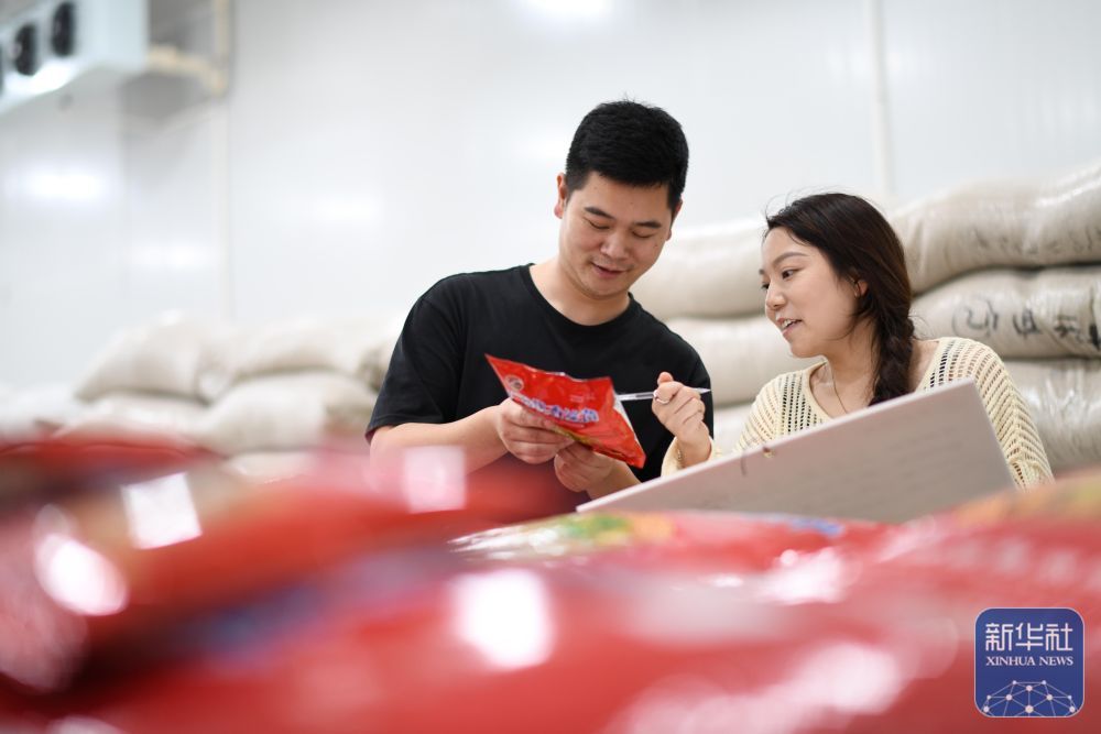 贵州岑巩:水稻制种确保稳产增收 贵州岑巩:水稻制种确保稳产增收