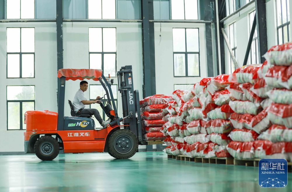 贵州岑巩:水稻制种确保稳产增收 贵州岑巩:水稻制种确保稳产增收