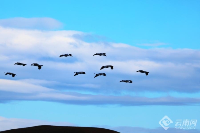 00306207765_3962bb87 00306207765_3962bb87