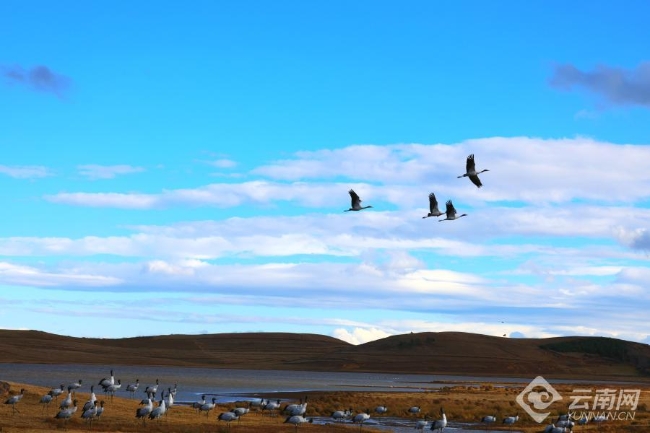 00306207767_4fc7ff77 00306207767_4fc7ff77