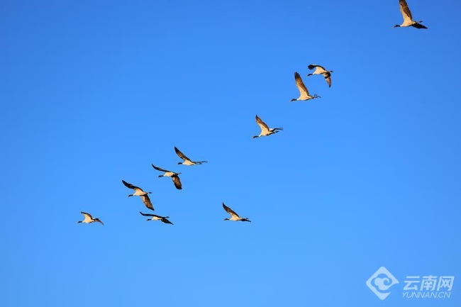 00306207768_ff2ca93d 00306207768_ff2ca93d