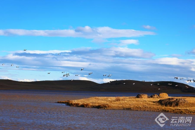 00306207773_0ab2a3cf 00306207773_0ab2a3cf