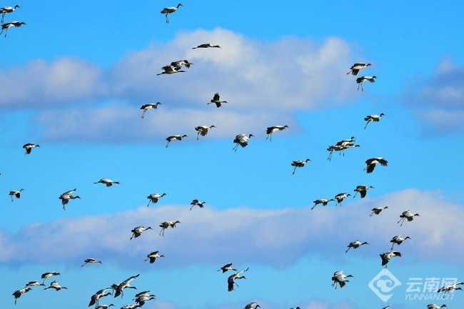 00306207785_17b68c03 00306207785_17b68c03