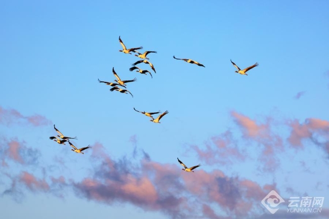 00306207786_63bcf75e 00306207786_63bcf75e