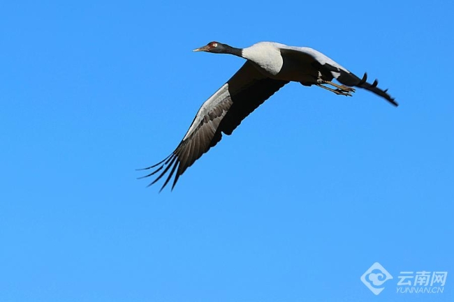 00306207791_3135a2e8 00306207791_3135a2e8