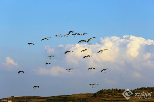 00306207794_8f75ad61 00306207794_8f75ad61