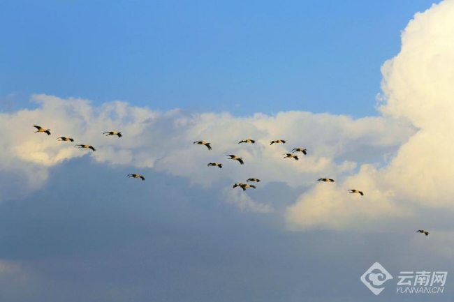 00306207795_51001c3d 00306207795_51001c3d