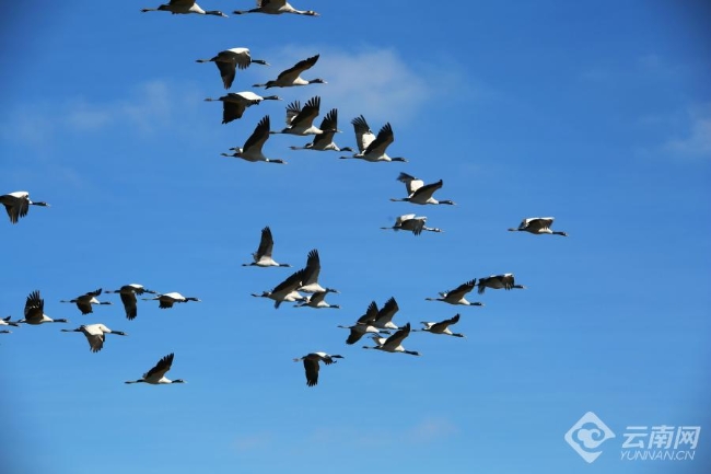 00306207796_19ede2be 00306207796_19ede2be