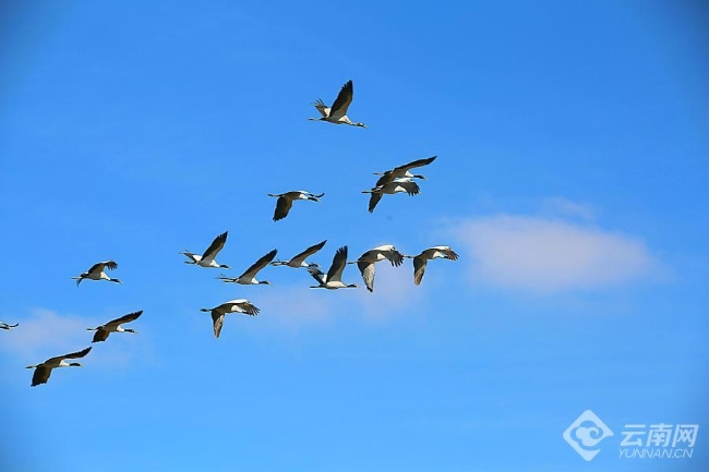 00306207799_ce1dbc50 00306207799_ce1dbc50