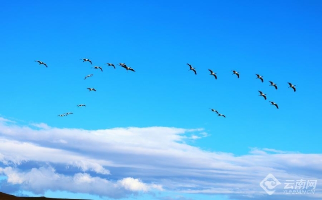 00306207823_7397daf8 00306207823_7397daf8