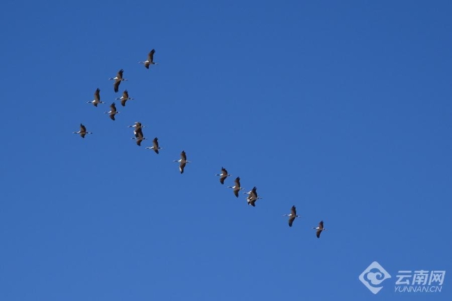 00306207825_4f079882 00306207825_4f079882