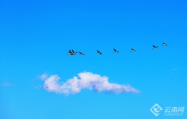 00306207828_765795a7 00306207828_765795a7