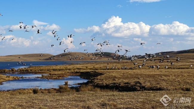 00306207830_826eb9f0 00306207830_826eb9f0