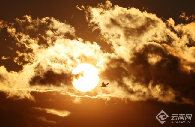 00306207831_a99aa2b3 00306207831_a99aa2b3