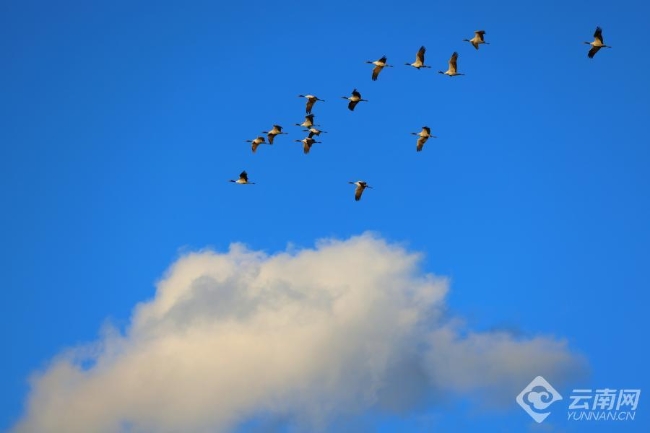 00306207832_aa04832f 00306207832_aa04832f