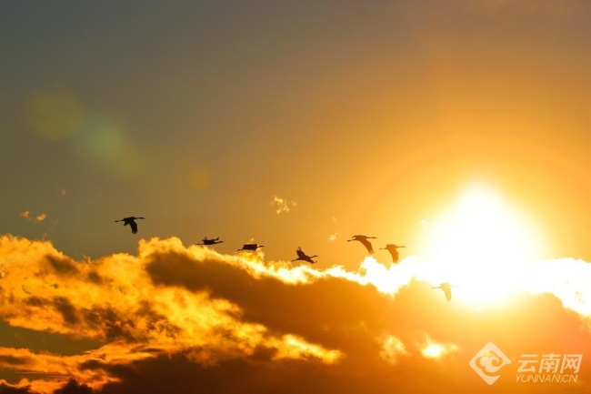 00306207833_e7026fd6 00306207833_e7026fd6