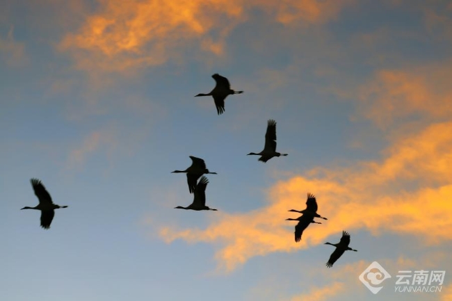 00306207834_361fbcf6 00306207834_361fbcf6