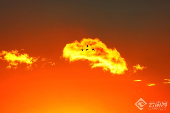 00306207835_c9c36ed6 00306207835_c9c36ed6