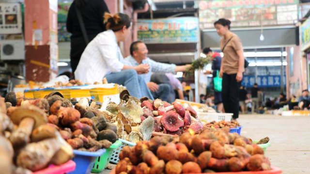 云南木水花野生菌市场菌飘香（图源 云新闻）