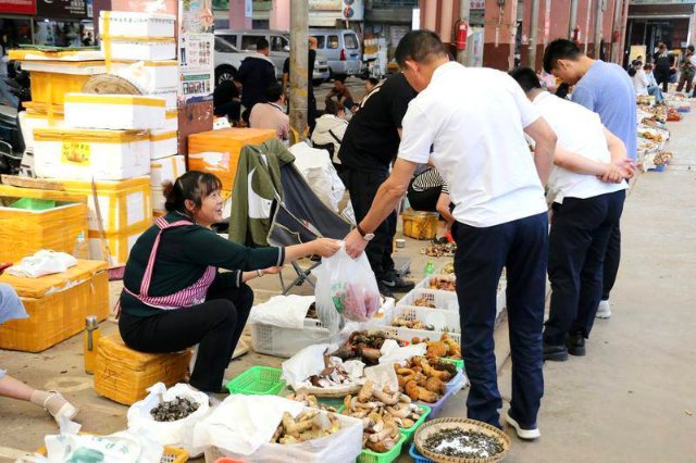 云南木水花野生菌市场菌飘香（图源 云新闻）