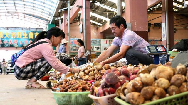 云南木水花野生菌市场菌飘香（图源 云新闻）