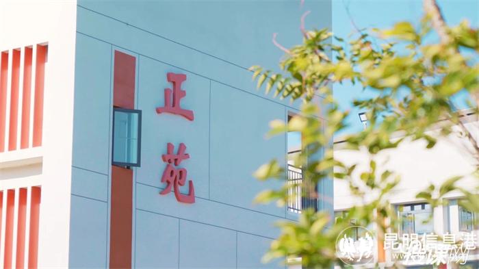 7c48e89c-1ce2-4147-939c-38ce41e3291f