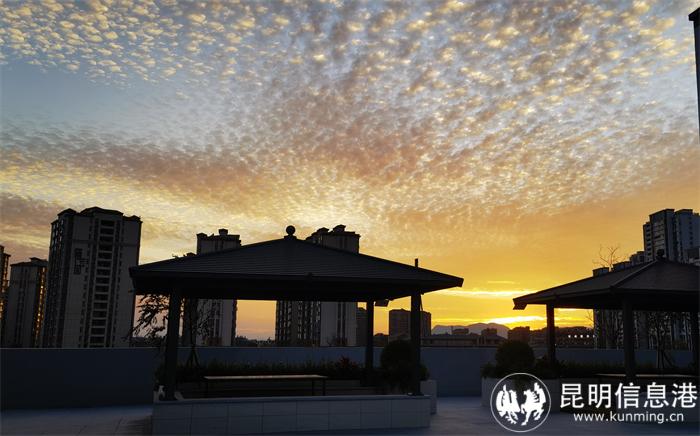 IMG_20240111_183234_edit_926075650973793(1)