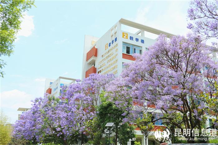 4微信图片_20240607183205 4微信图片_20240607183205