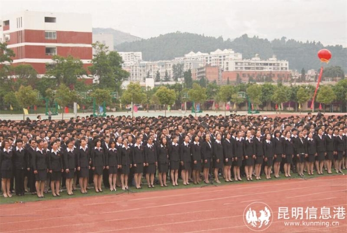 教师团队 教师团队