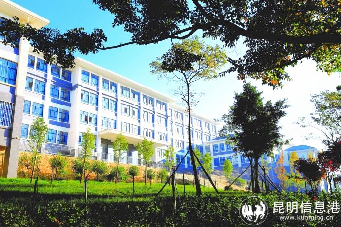 1610157_700x700 1610157_700x700