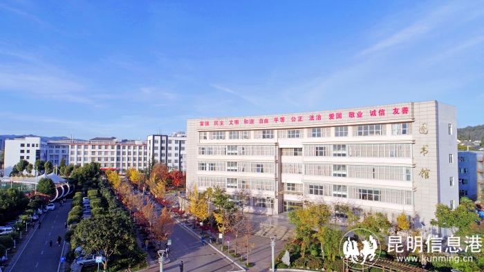 1610942_700x700 1610942_700x700